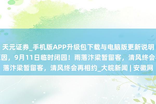 天元证券_手机版APP升级包下载与电脑版更新说明 清朗上河园：因天气原因，9月11日临时闭园！雨落汴梁暂留客，清风终会再相约_大皖新闻 | 安徽网