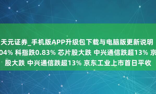 天元证券_手机版APP升级包下载与电脑版更新说明 收评：港股恒指跌0.04% 科指跌0.83% 芯片股大跌 中兴通信跌超13% 京东工业上市首日平收
