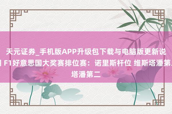 天元证券_手机版APP升级包下载与电脑版更新说明 F1好意思国大奖赛排位赛：诺里斯杆位 维斯塔潘第二
